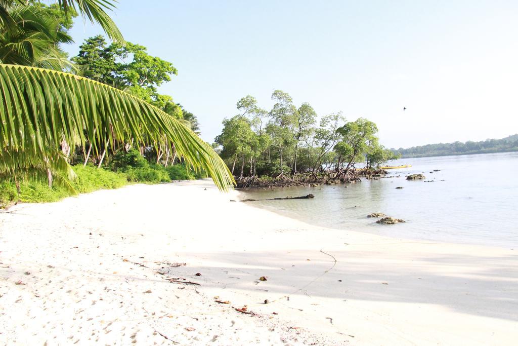 Havelock Island Beach Resort Govind Nagar Pokój zdjęcie